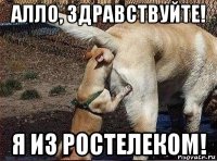 алло, здравствуйте! я из ростелеком!