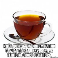  идёт дождь, за окном капли стучат по карнизу, воздух теплый, скоро сентябрь