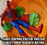  салат поучий состав: листья салата, поук, какаято хуетня