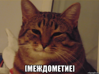  [междометие]