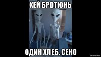 хей бротюнь один хлеб, сено