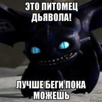 это питомец дьявола! лучше беги пока можешь