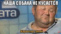 наша собака не кусается 