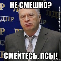 не смешно? смейтесь, псы!