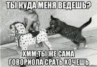 ты куда меня ведешь? хмм,ты же сама говориола срать хочешь