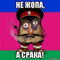не жопа, а срака!