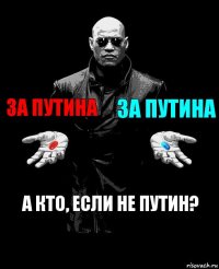 За путина За путина А кто, если не путин?