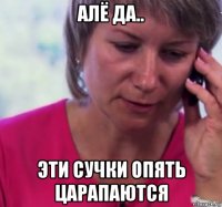 алё да.. эти сучки опять царапаются