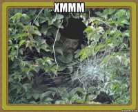 хммм 