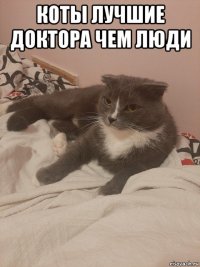 коты лучшие доктора чем люди 