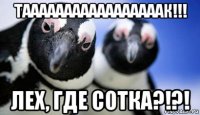 тааааааааааааааааак!!! лех, где сотка?!?!