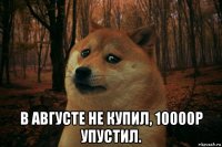  в августе не купил, 10000р упустил.