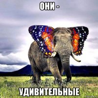 они - удивительные