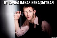 от сучка какая ненасытная 