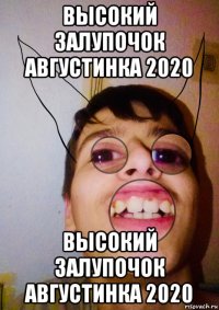 высокий залупочок августинка 2020 высокий залупочок августинка 2020