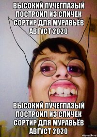 высокий пучеглазый построил из спичек сортир для муравьёв август 2020 высокий пучеглазый построил из спичек сортир для муравьёв август 2020