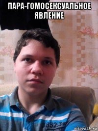 пара-гомосексуальное явление 