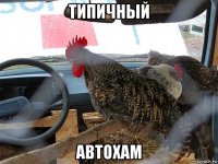 типичный автохам