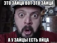 это зайца вот это зайца а у зайцы есть яйца