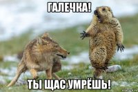 галечка! ты щас умрёшь!