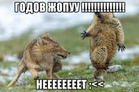 годов жопуу !!!!!!!!!!!!!! неееееееет :<<