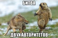 битва двух авторитетов