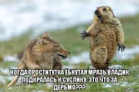  когда проститутка ёбнутая мразь владик подкралась к суслику. это что за дерьмо???