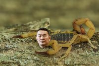 Создать мем Баттулга скорпион