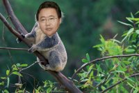 Создать мем Elbegdorj koala