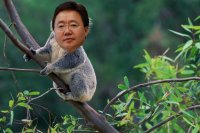 Создать мем Elbegdorj Koala