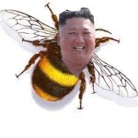 Создать мем Kim Jong Bumblee