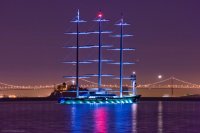 Создать мем Maltese Falcon - Night