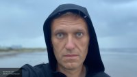 Создать мем Навальный харя