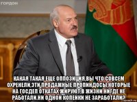  какая такая еще оппозиция,вы что совсем охренели,эти продажные пропиндосы,которые на госдеп откатах жируют,в жизни нигде не работали.ни одной копейки не заработали?