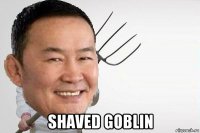  shaved goblin