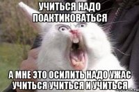 учиться надо поактиковаться а мне это осилить надо ужас учиться учиться и учиться