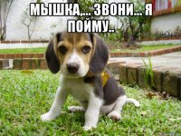 мышка,... звони... я пойму.. 