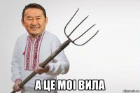  а це моі вила