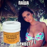 паша привет