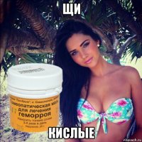 щи кислые