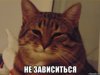  не зависиться