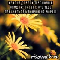 ириска доброй тебе ночи и сладких снов) пусть тебе присниться баюнчик на море)) 