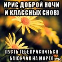 ирис доброй ночи и классных снов) пусть тебе присниться баюнчик на море))