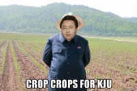  crop crops for kju