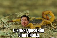  ц элбэгдоржийн скорпионд
