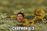  скорион ц. э.