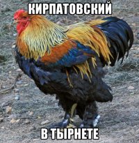 кирпатовский в тырнете
