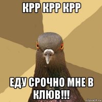 крр крр крр еду срочно мне в клюв!!!