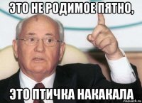 это не родимое пятно, это птичка накакала