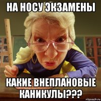 на носу экзамены какие внеплановые каникулы???